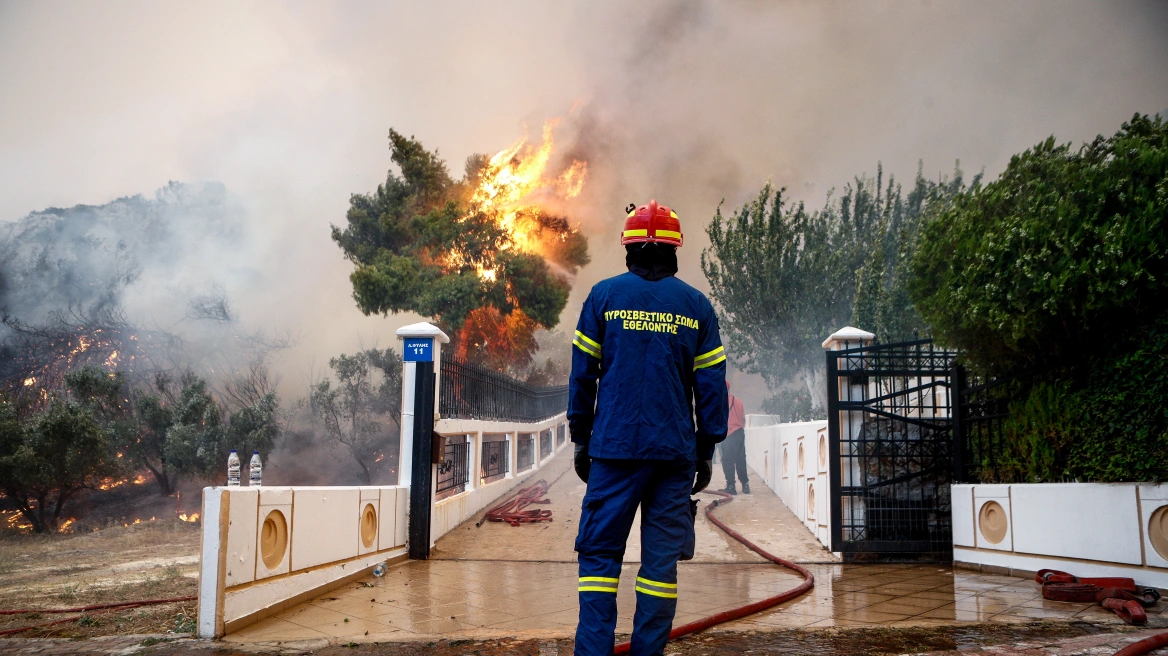 Πυροπροστασία: Ξεριζώνουν ακόμα και δέντρα υπό τον φόβο προστίμων