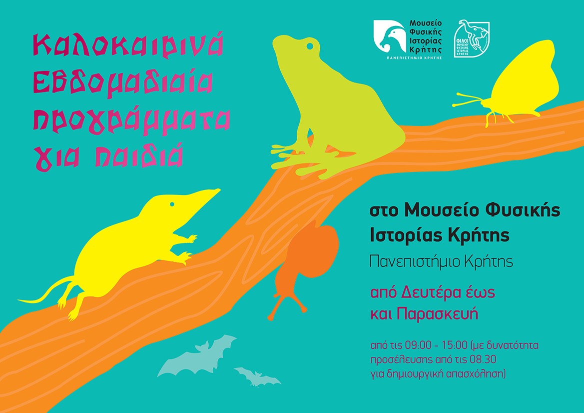 Καλοκαιρινά εβδομαδιαία προγράμματα από το Μουσείο Φυσικής Ιστορίας