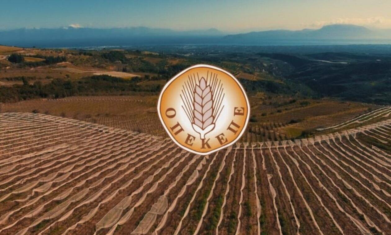 ΟΠΕΚΕΠΕ: Παράταση έως 4 Οκτωβρίου για τις αιτήσεις Ενιαίας Αίτησης Ενίσχυσης 2024