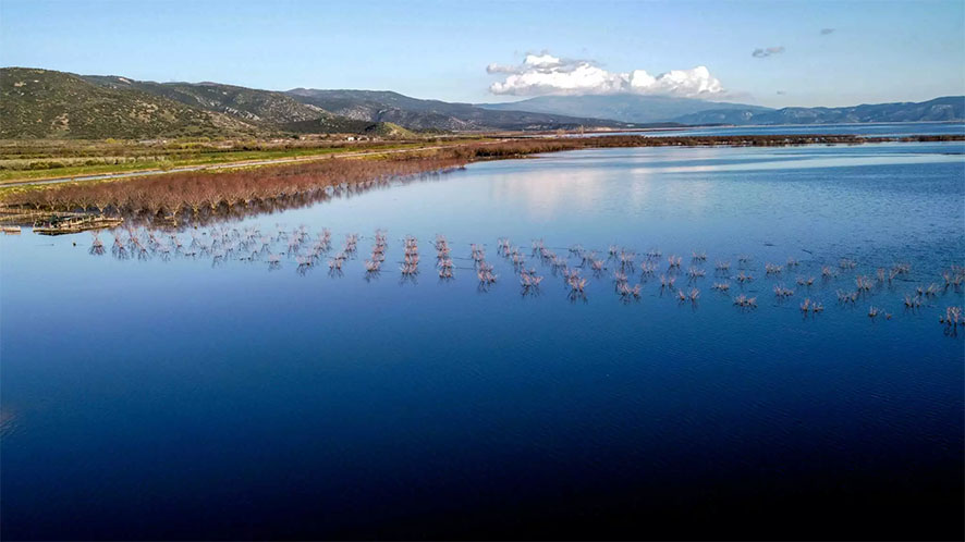 Δημοσιεύθηκε το ΦΕΚ Αυγενάκη για ενίσχυση των παρακάρλιων περιοχών, ύψους 43 εκατομμυρίων