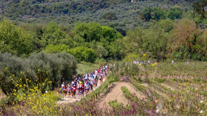 Στις 14 Μαΐου η ολοκλήρωση των εκδηλώσεων του «Δρόμου της Ολυμπιακής Εκεχειρίας 2024»