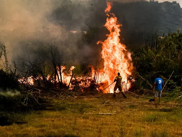 Συνεχίζεται η μάχη με τις φλόγες στην Ηλεία μετά από μία εφιαλτική νύχτα – 26 μηνύματα από το 112