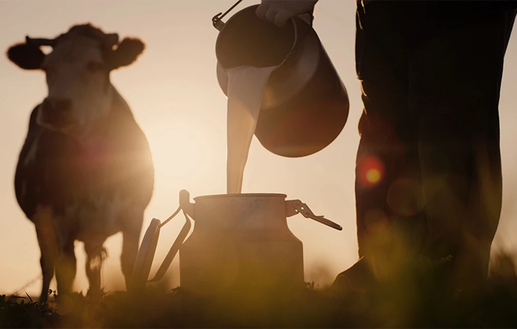 Θεσσαλία: Έλλειμα αξίας άνω των 150.000 παρουσίασε γαλακτοβιομηχανία σε έλεγχο