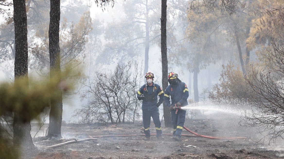 Έντονη ανησυχία για τον Hot – Dry – Windy καιρό και τον κίνδυνο πυρκαγιάς