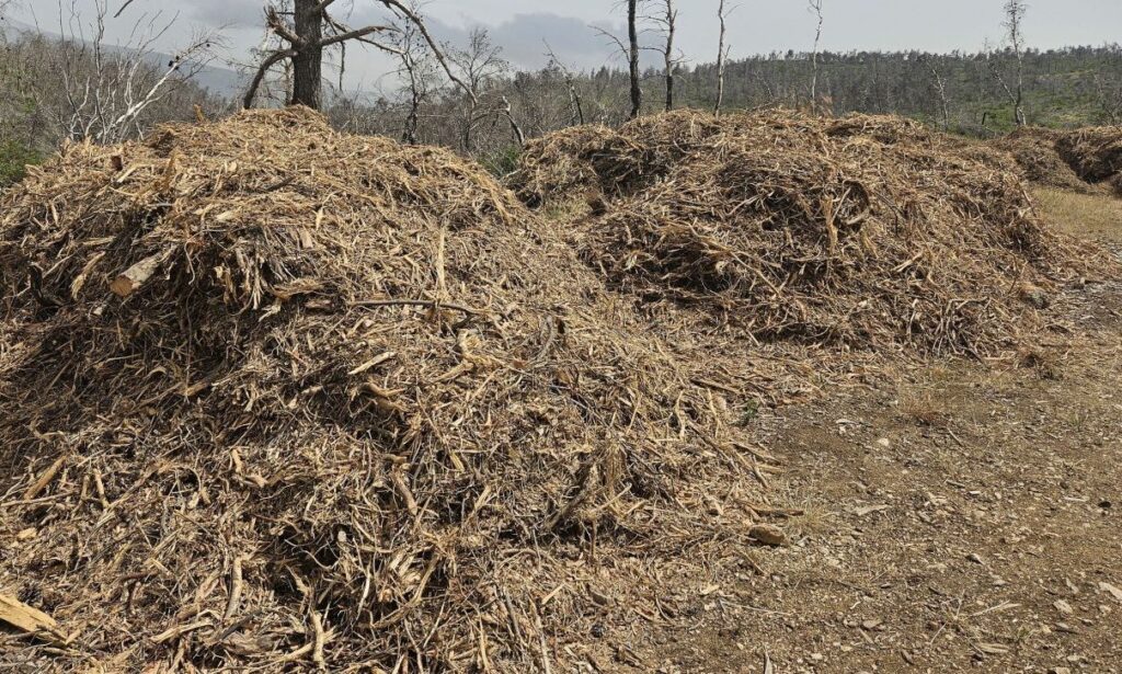 Εκπνέει η προθεσμία για τον καθαρισμό των οικοπέδων