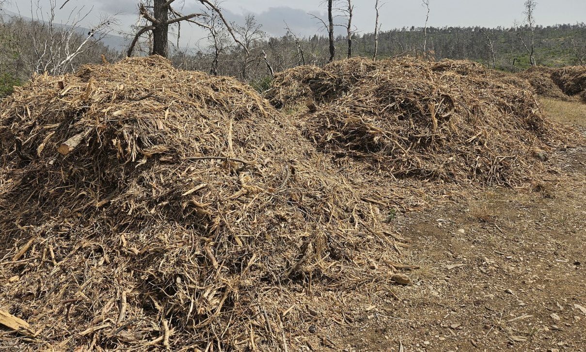 Εκπνέει η προθεσμία για τον καθαρισμό των οικοπέδων
