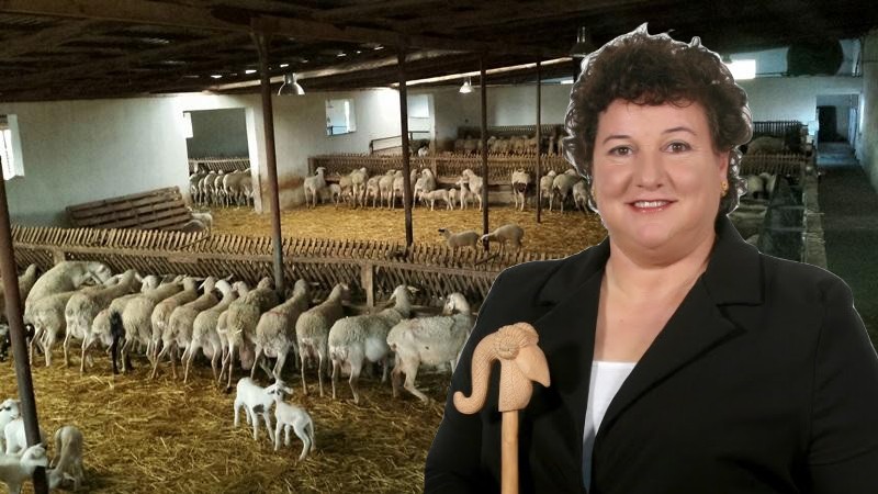 Στον… αέρα πάνω από το 60 % των κτηνοτρόφων στην Κρήτη!