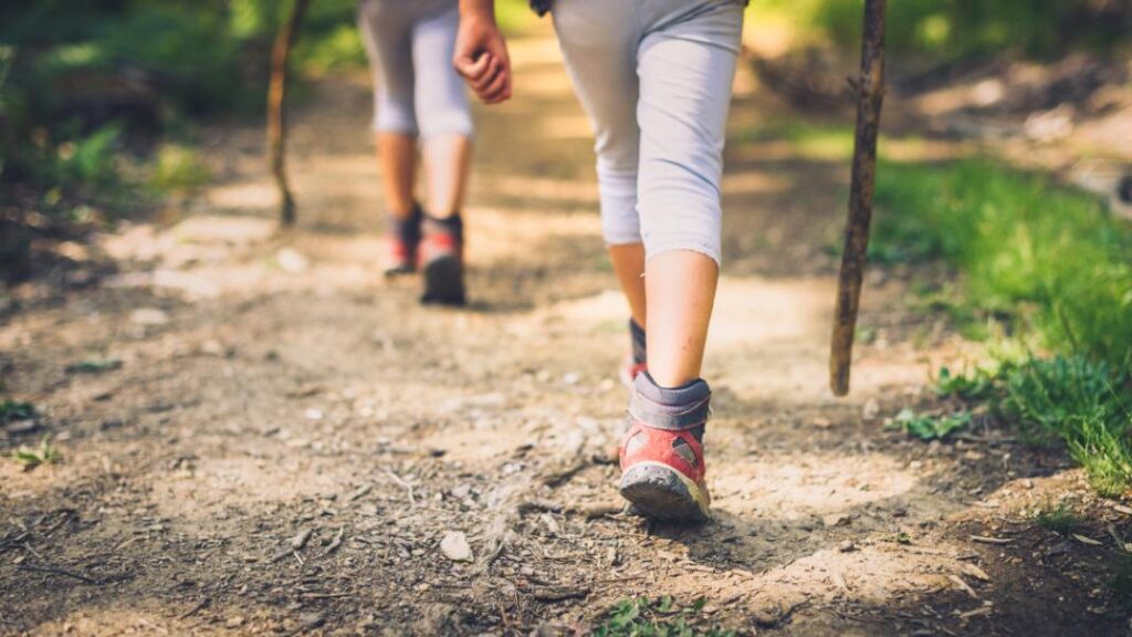 Συνεχίζονται οι πεζοπορικές διαδρομές από τον Δήμο Πλατανιά