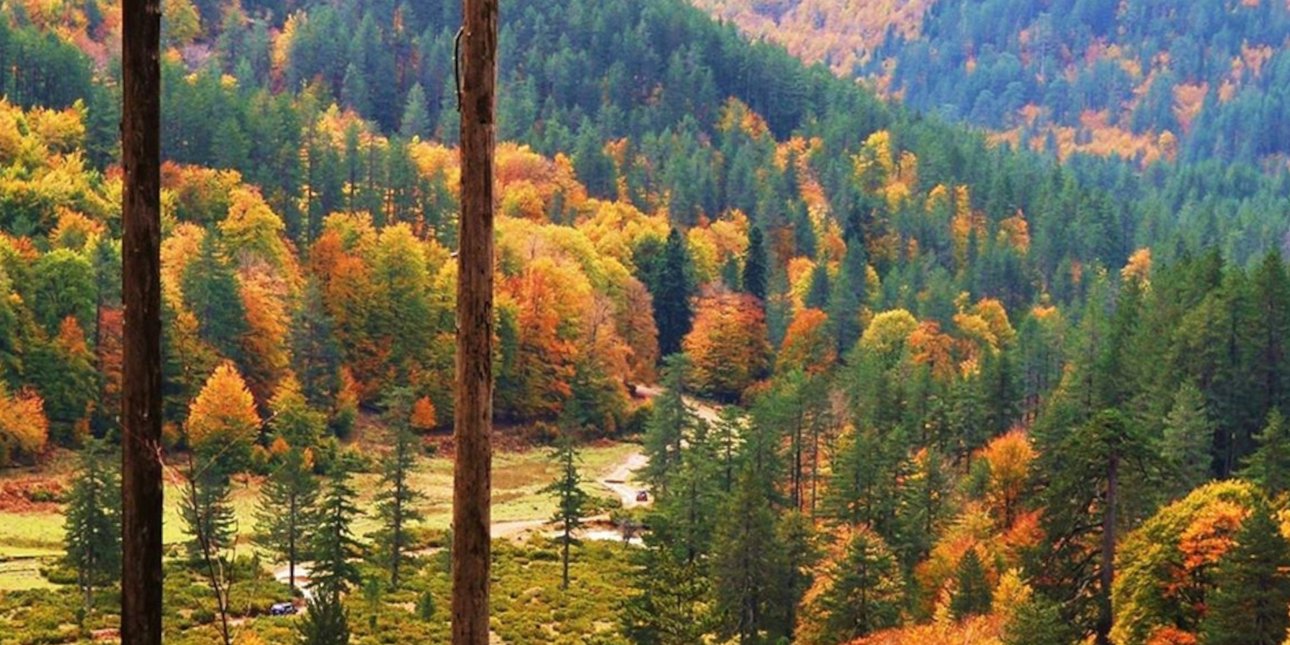 Στα 2 δις ευρώ τα οφέλη από την αξιοποίηση περιοχών Natura