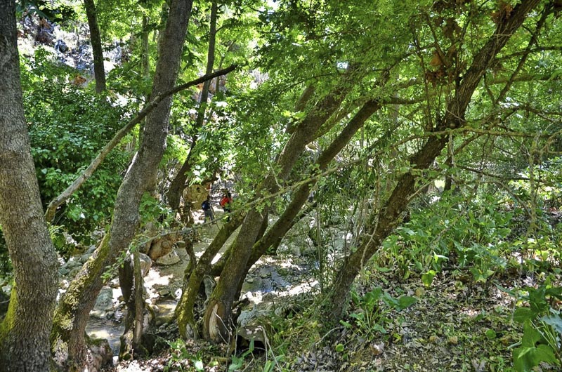 Αίσιο τέλος στην περιπέτεια του νεαρού που έχασε τον προσανατολισμό στο φαράγγι του Δίκταμου