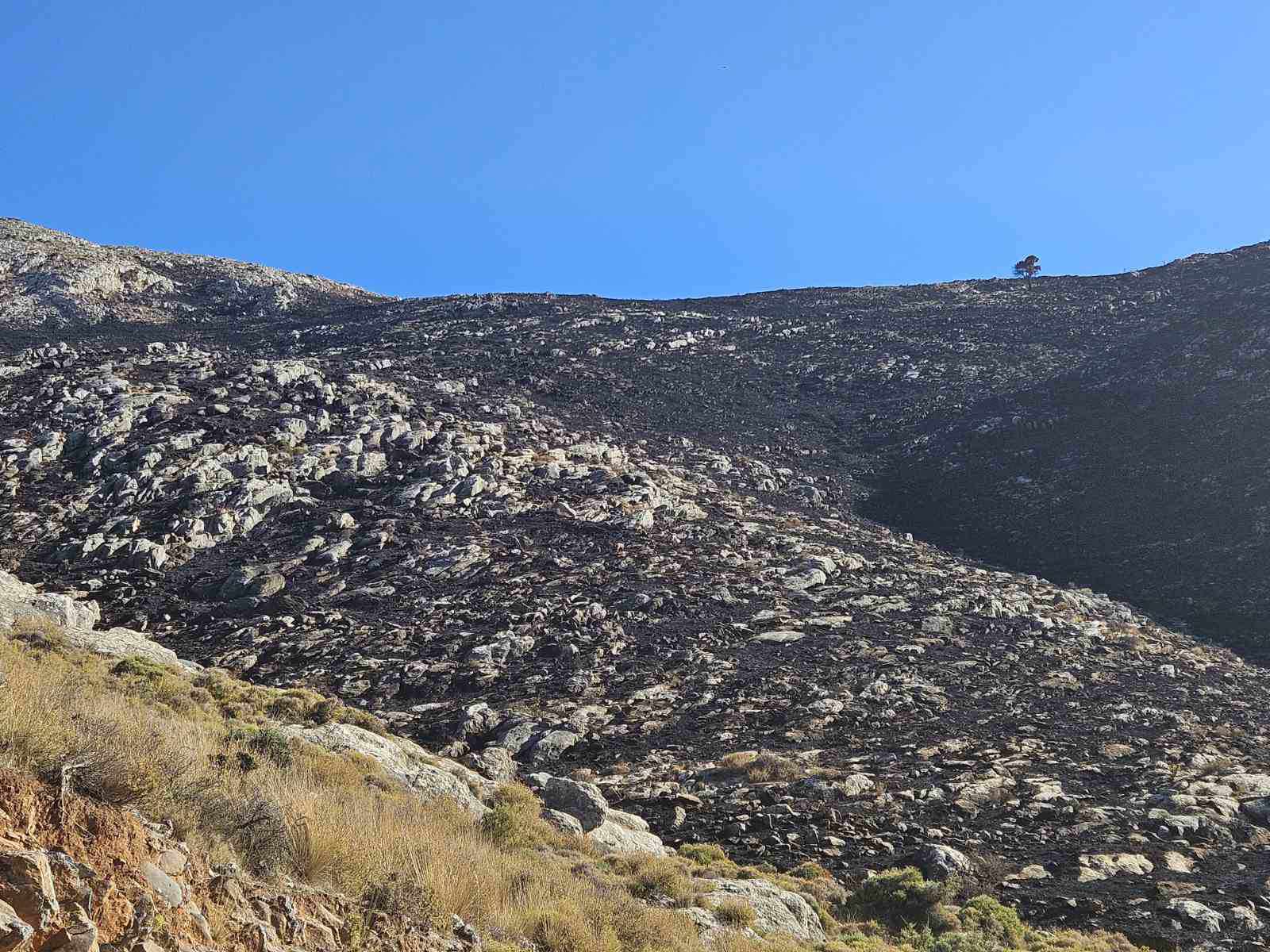 Κρανίου τόπος εκατοντάδες στρέμματα στο Γεράκι! (Οδοιπορικό-φωτορεπορτάζ)