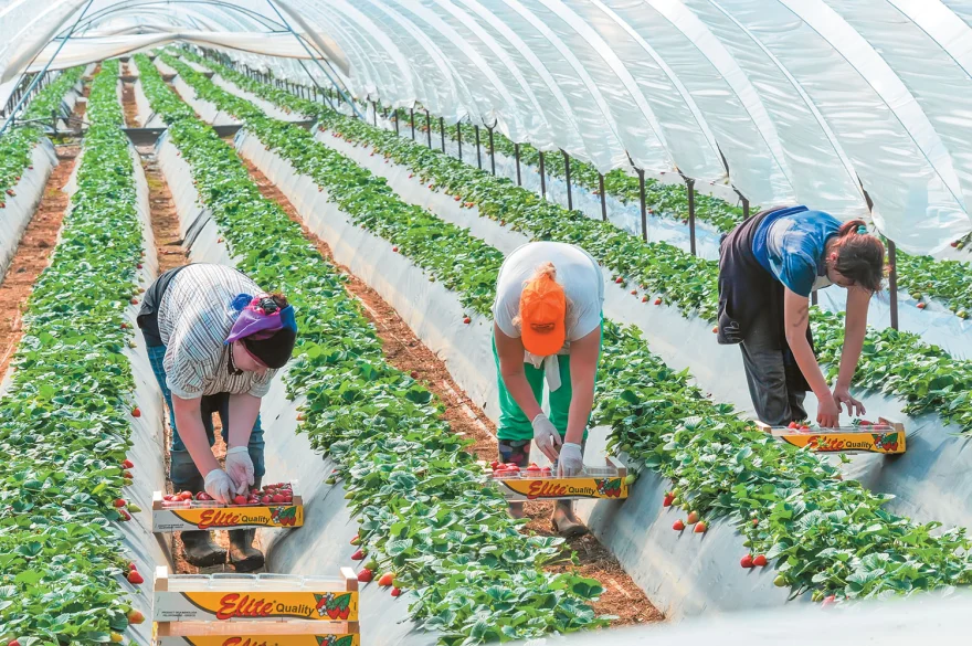 200.000 κενά σε Τουρισμό, Αγροτικό Τομέα, Κατασκευές