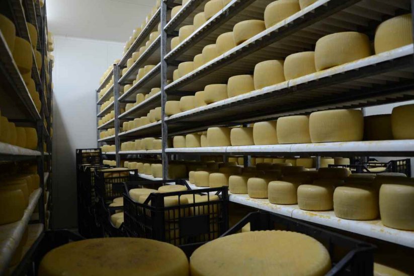 Απούλητα 7 στα 10 τυριά της Κρήτης! Αδύνατο να απορροφηθούν από τον Τουρισμό