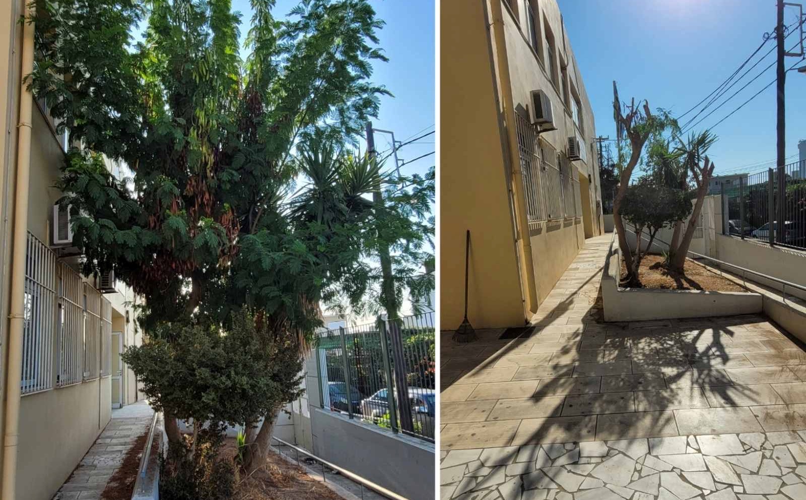 Συνεχίζονται οι εργασίες συντήρησης και καλλωπισμού του πρασίνου στα σχολεία του Δήμου Ηρακλείου