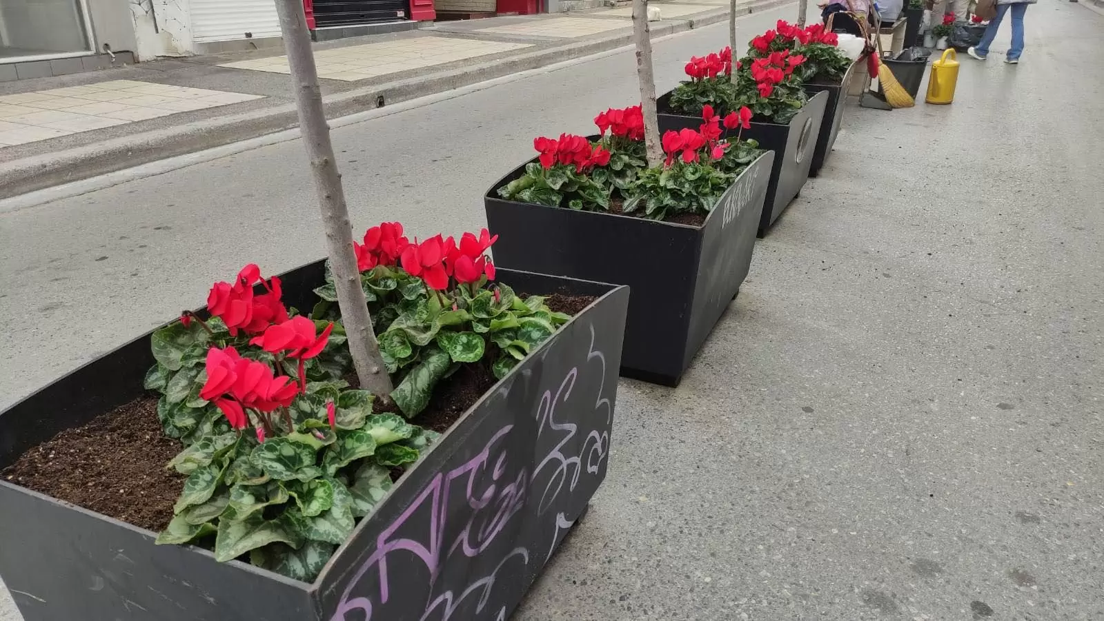 Άνθη και αρωματικά φυτά γέμισε το κέντρο του Ηρακλείου