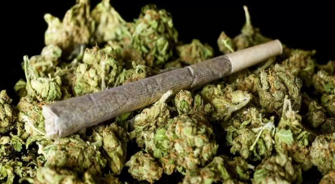 Καλά οργανωμένος στο…χασίς ο δράστης στη Σητεία – Πώς έπεσε στα χέρια της Αστυνομίας