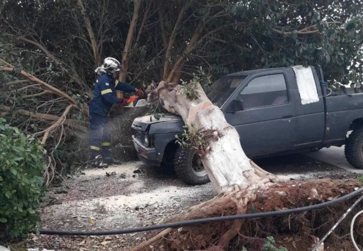 Πτώση δέντρου σε αυτοκίνητο…