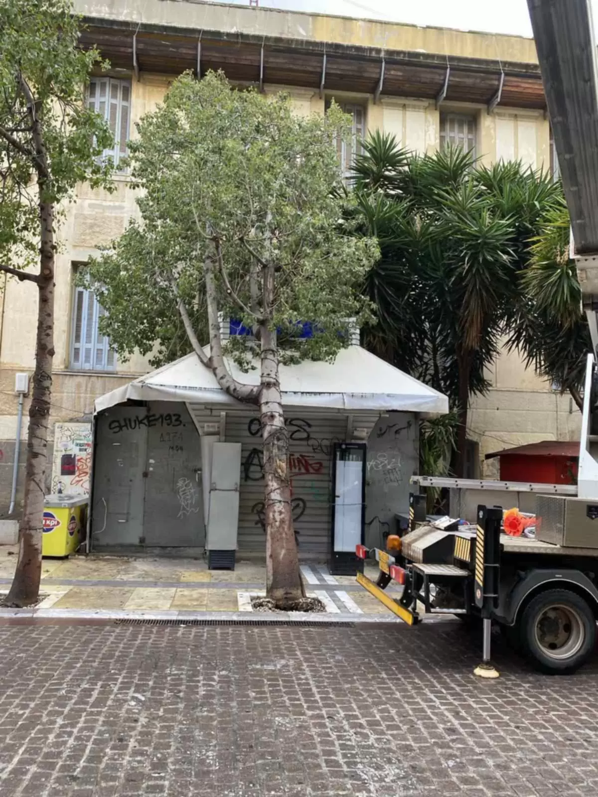 Ξεριζώθηκε δέντρο στο κέντρο του Ηρακλείου