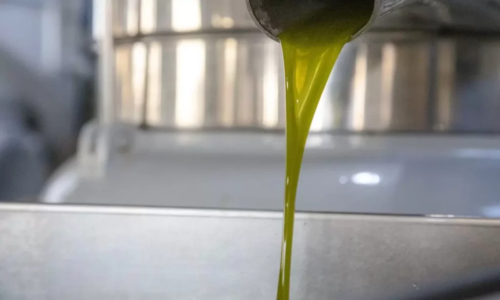 Το ελαιόλαδο σε… καθεστώς πολιορκίας: Το «υγρό χρυσάφι» μετατρέπεται σε λάφυρο ληστών
