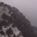 faraggi samarias.jpg