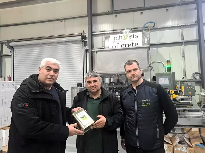 Εθελοντική δράση ελαιοσυλλογής από ελαιώνες του Δήμου Αγίου Νικολάου