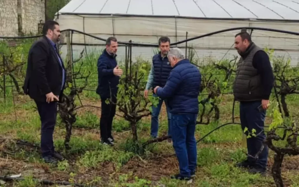 Ηράκλειο: Αυτοψία στις πληγείσες περιοχές από την χαλαζόπτωση