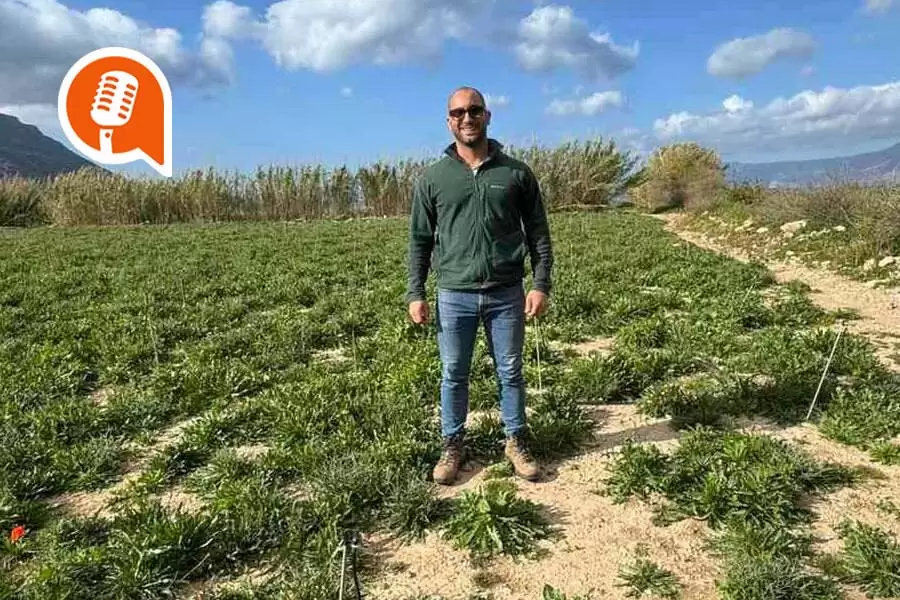 Νίκος Σταματάκης: Έτσι άρχισαν όλα με την καλλιέργεια σταμναγκαθιού στη Γραμβούσα