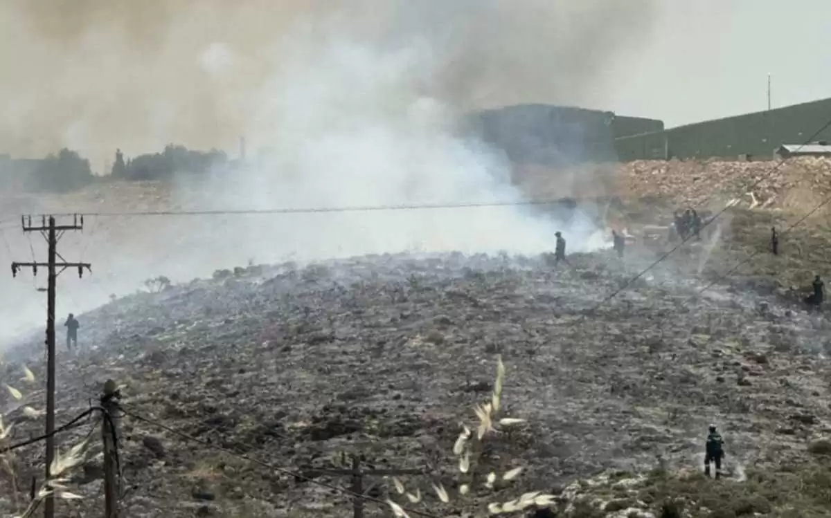 Πρόλαβε τα… χειρότερα η Πυροσβεστική στον Καρτερό!