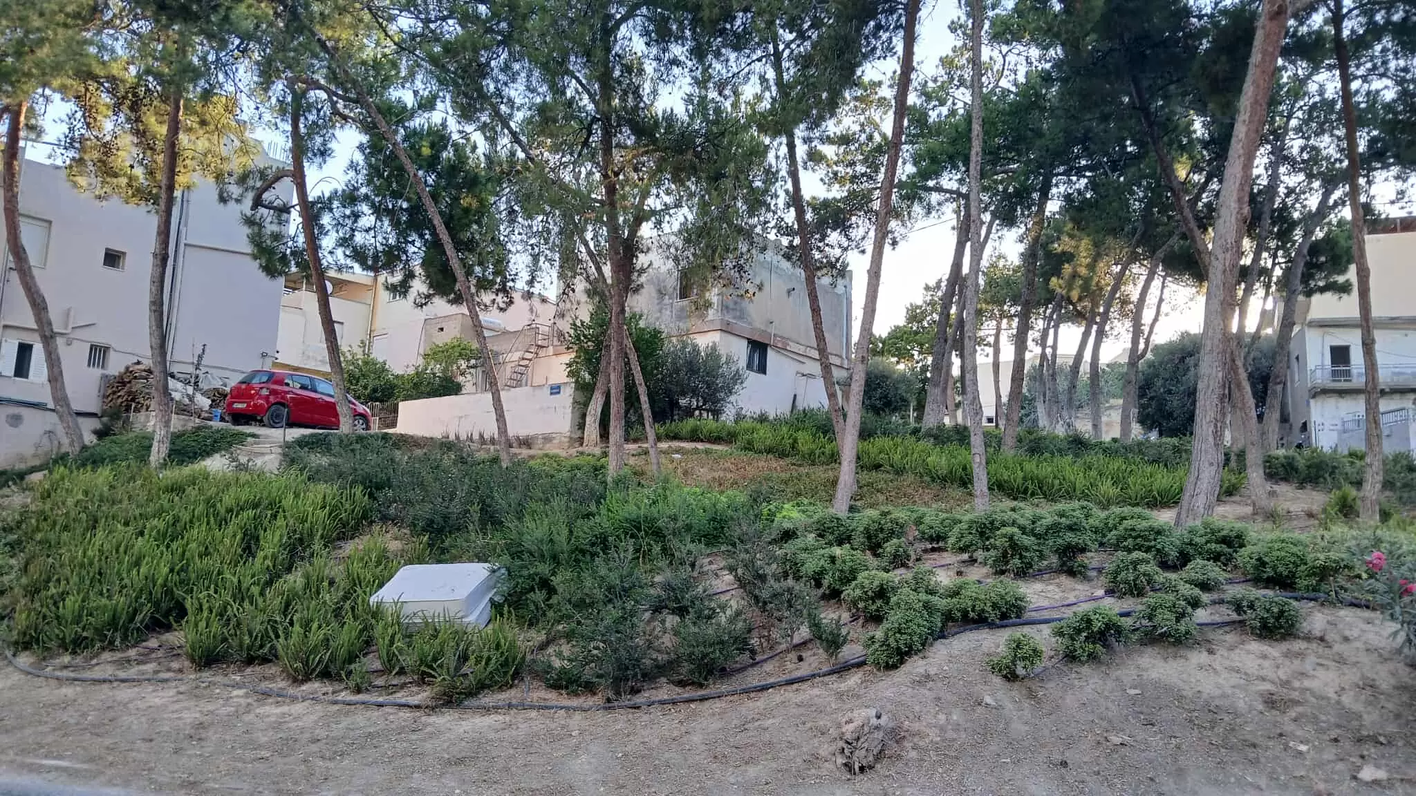 Και… στρώματα έχει ο μπαξές