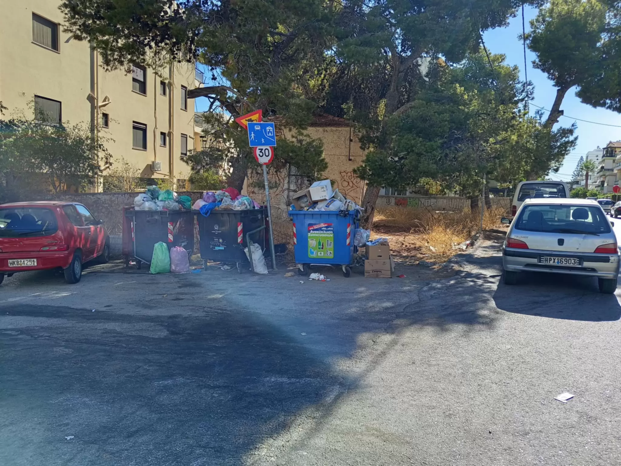 Μασταμπάς: Οι αρουραίοι «παρτάρουν» μέσα από τα σκουπίδια!