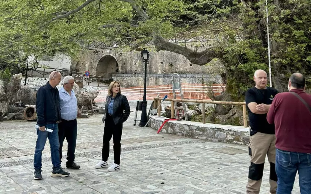 Δράσεις για την ασφάλεια των δέντρων από το Παρατηρητήριο Αστικού Πρασίνου Κρήτης