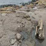 565107021_1400627724821329_1058742205349475274_n