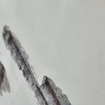 IMG-4a66c5bee43119b1df17449f9bcd1d8b-V