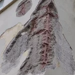 IMG-e0a36660ceb1fdf44d2619ce1cb09e6a-V